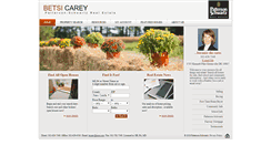 Desktop Screenshot of betsicarey.com